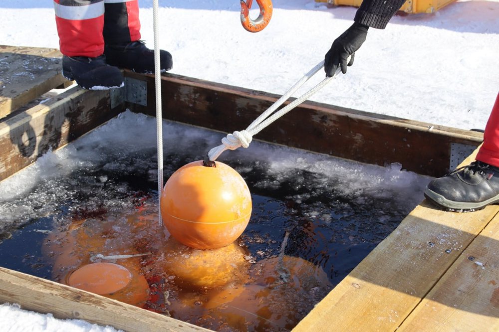 photo 2022 03 21 12 00 20