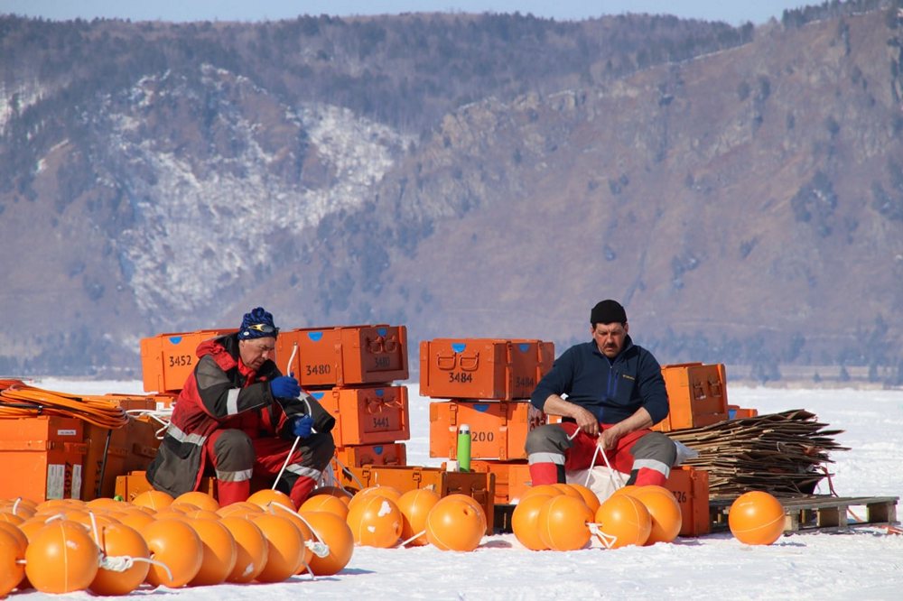 photo 2022 03 21 12 30 16